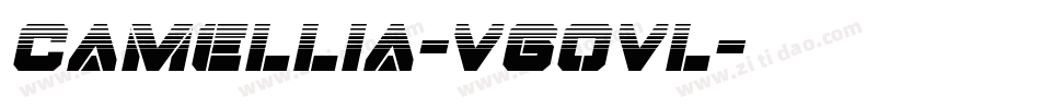 Camellia-VGOVl字体转换