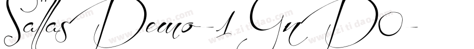 SallasDemo-1GnD0字体转换