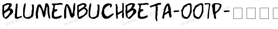 BlumenbuchBeta-OO7P字体转换