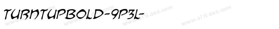 TurntUpBold-9P3L字体转换