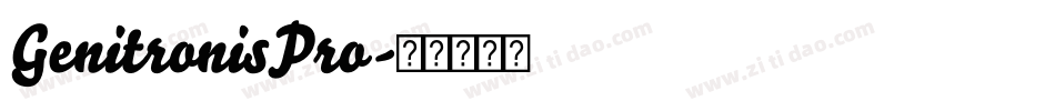 GenitronisPro字体转换