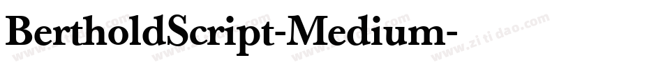BertholdScript-Medium字体转换