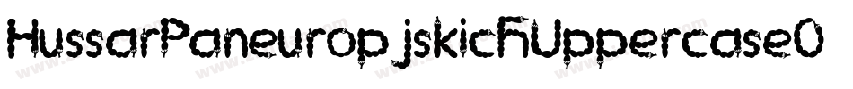 HussarPaneuropjskichUppercaseOblique-PLrm字体转换