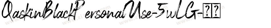 QaskinBlackPersonalUse-5wLG字体转换