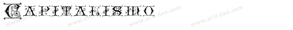 Capitalismo2字体转换