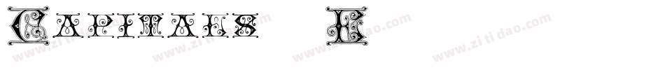 Capitals-07E9字体转换