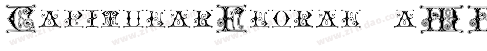 CapitularFloral-1aMM字体转换