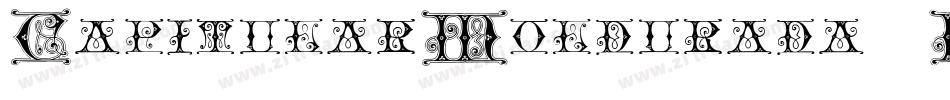 CapitularMoldurada2-Baen字体转换