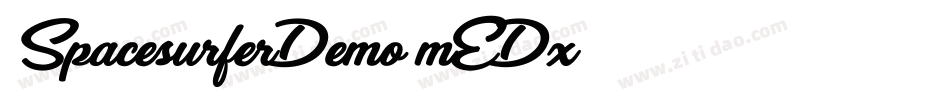 SpacesurferDemo-mEDx字体转换