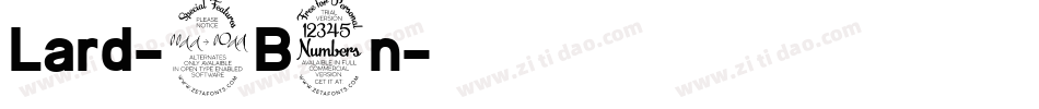 Lard-9B3n字体转换