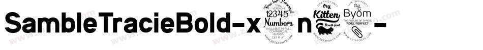 SambleTracieBold-x3n68字体转换