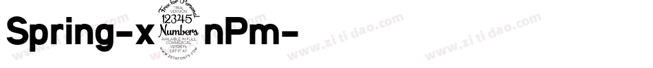 Spring-x3nPm字体转换