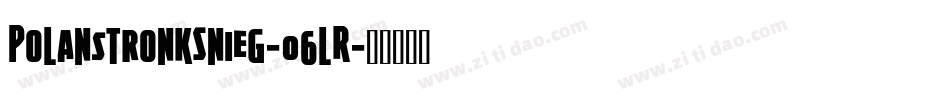 PolanstronkSnieg-06lR字体转换