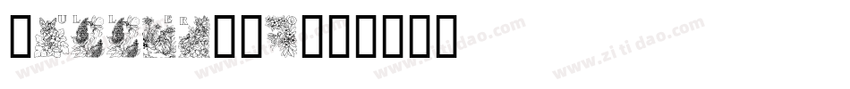 MullerWOo字体转换