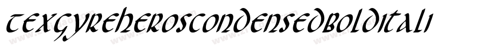 TexgyreheroscondensedBolditalic-R3B6字体转换