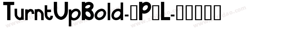 TurntUpBold-9P3L字体转换