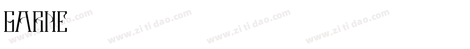 GARNETB字体转换