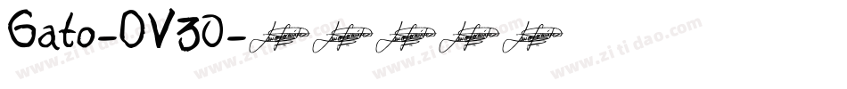 Gato-DV30字体转换