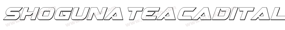 shogunateacadital字体转换