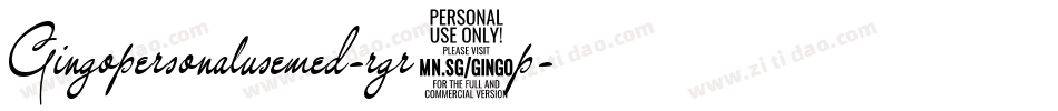 Gingopersonalusemed-rgr9p字体转换