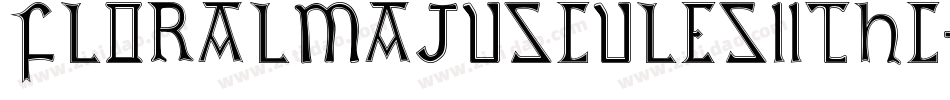 FloralMajuscules11ThC-AmB6字体转换
