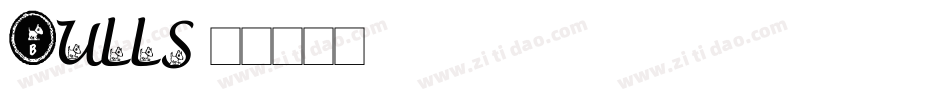 Bulls字体转换
