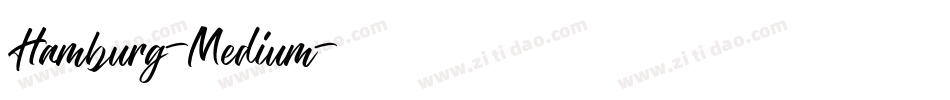 Hamburg-Medium字体转换