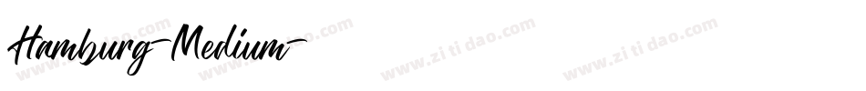 Hamburg-Medium字体转换