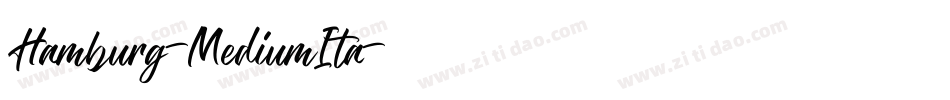 Hamburg-MediumIta字体转换