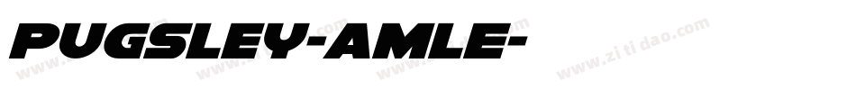 Pugsley-amlE字体转换
