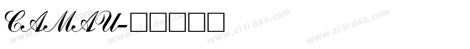 CAMAU字体转换