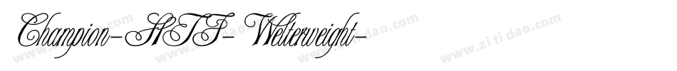 Champion-HTF-Welterweight字体转换
