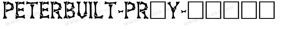 Peterbuilt-pR6y字体转换