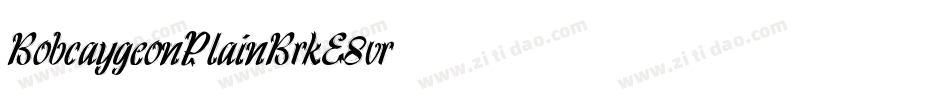 BobcaygeonPlainBrk-E8vr字体转换 BobcaygeonPlainBrk-E8vr字体转换