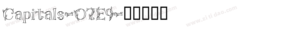 Capitals-07E9字体转换