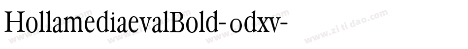 HollamediaevalBold-0dxv字体转换