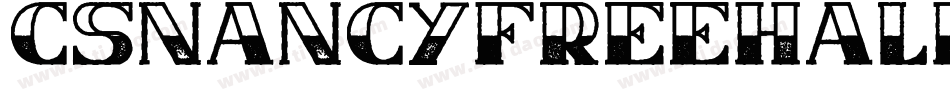 CsNancyFreeHalfblockRough-BW0g5字体转换