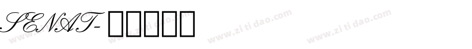 SENAT字体转换