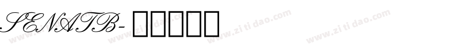 SENATB字体转换
