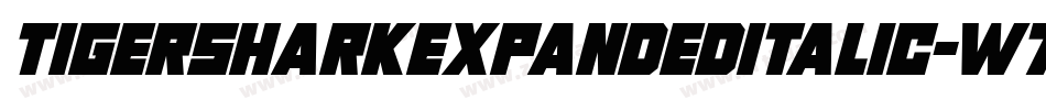 TigersharkExpandedItalic-w7Z2字体转换