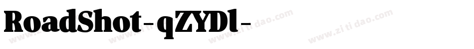 RoadShot-qZYDl字体转换