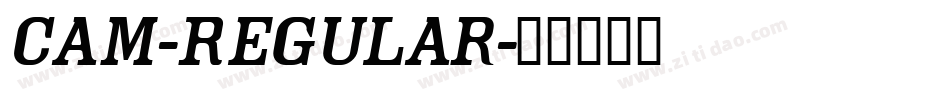 Cam-Regular字体转换