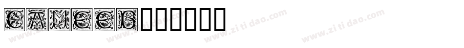 CAMEEB字体转换