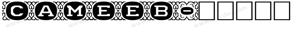 CAMEEB字体转换