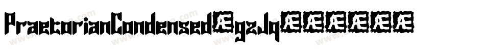 PraetorianCondensed-gzJq字体转换 PraetorianCondensed-gzJq字体转换
