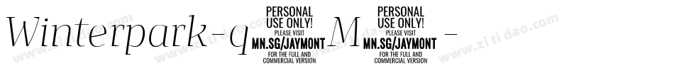 Winterpark-q3M5字体转换