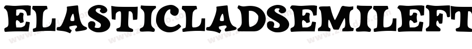 ElasticLadSemiLeftalic-8MZvn字体转换