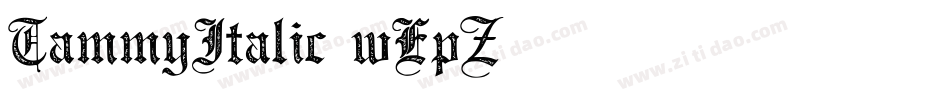 TammyItalic-wEpZ字体转换