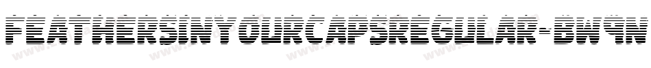Feathersinyourcapsregular-BW9n字体转换