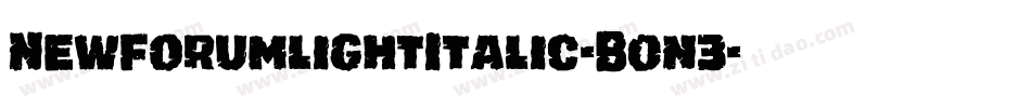 NewforumlightItalic-B0n3字体转换 NewforumlightItalic-B0n3字体转换